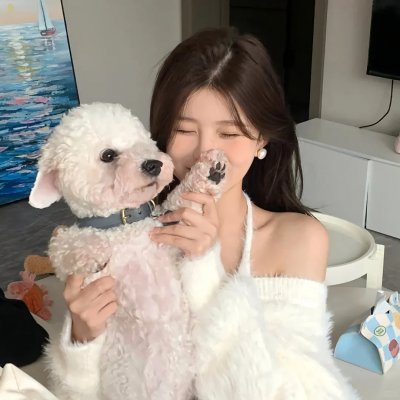 功夫特务